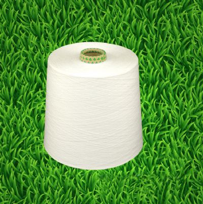 點(diǎn)擊查看詳細(xì)信息<br>標(biāo)題：竹纖維棉混紡紗 閱讀次數(shù)：5272